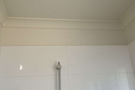 painting bathroom wall