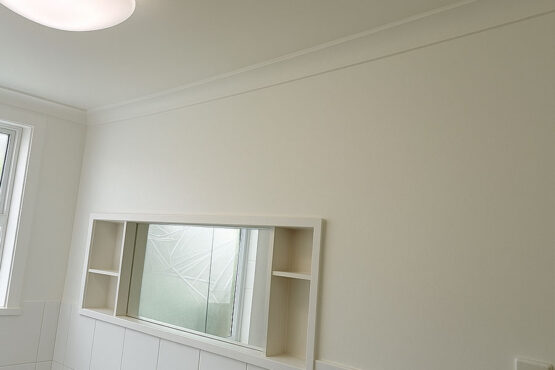 painting bathroom wall